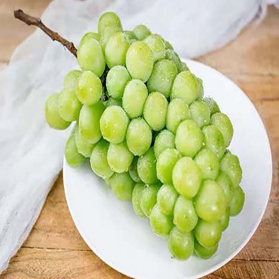 Nho xanh không hạt tươi ngon, nhập khẩu